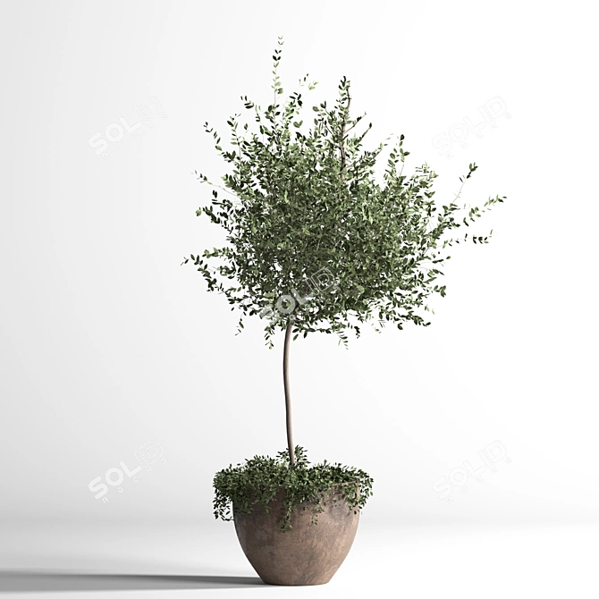 3D Indoor Plant Model Kit 3D model image 2