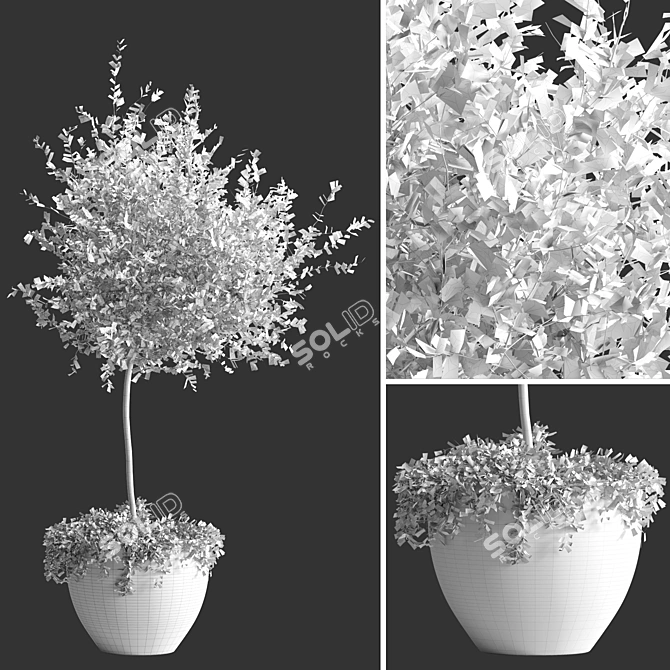 3D Indoor Plant Model Kit 3D model image 5