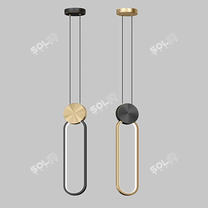  Brass Disc Pendant Light 3D model image 2