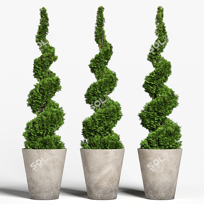 Modern Concrete Planter with Topiary Cypress 3D model image 6