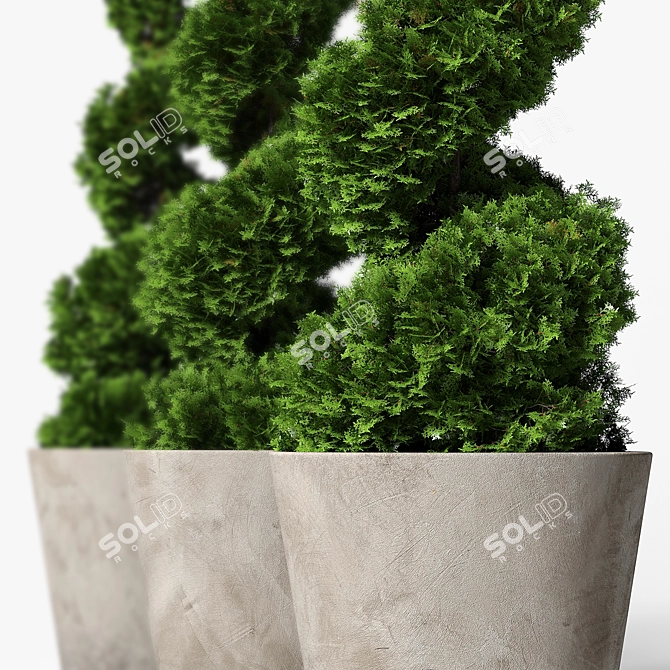Modern Concrete Planter with Topiary Cypress 3D model image 7