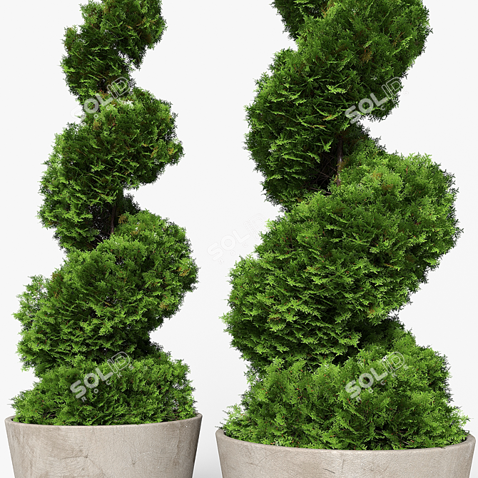 Modern Concrete Planter with Topiary Cypress 3D model image 8
