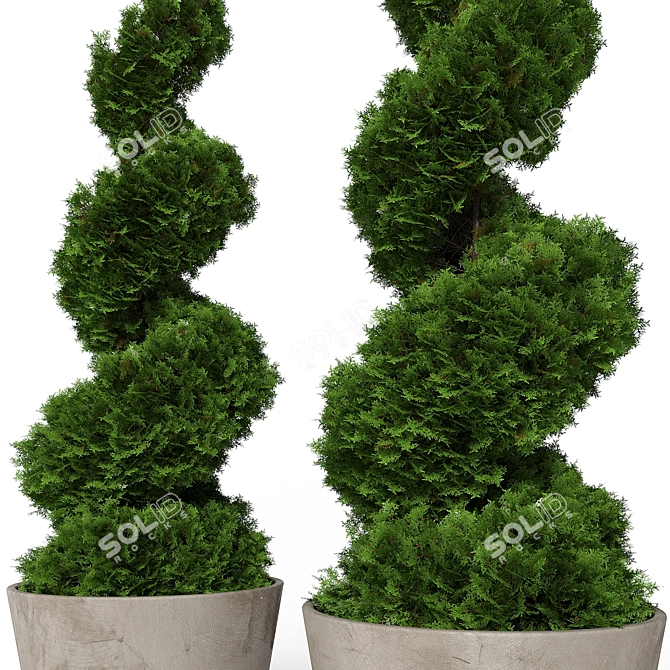 Modern Concrete Planter with Topiary Cypress 3D model image 3