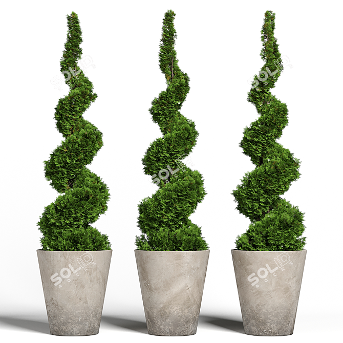 Modern Concrete Planter with Topiary Cypress 3D model image 4