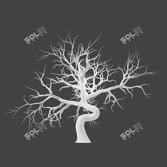 Desert Tree 3D Model Package 3D model image 5