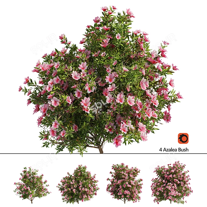 Springtime Azalea Flower Bush Kit 3D model image 1