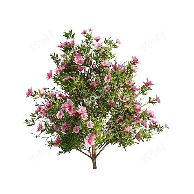 Springtime Azalea Flower Bush Kit 3D model image 3