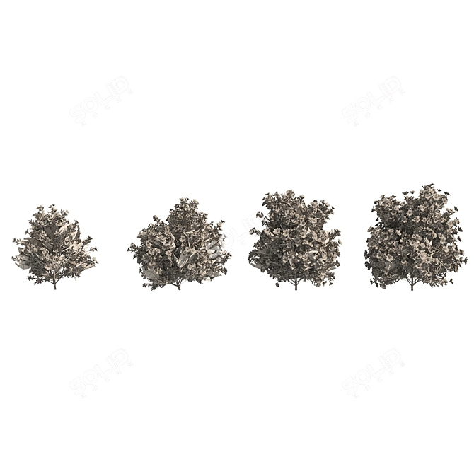 Springtime Azalea Flower Bush Kit 3D model image 5