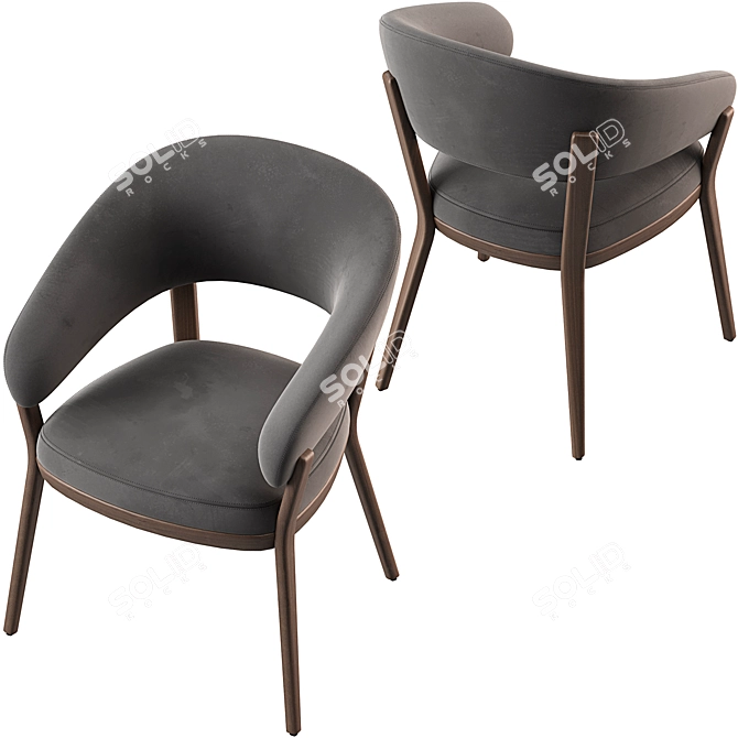 Modern Ray Dining Chair Online 3D model image 6