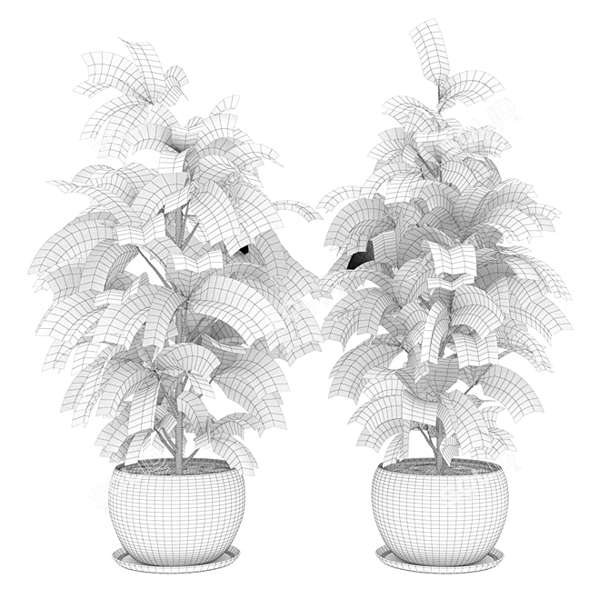 Rubber Leaf Indoor Plant 3D Model 3D model image 6