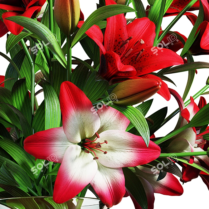 Luxury Red Lily Bouquet 3D 3D model image 5