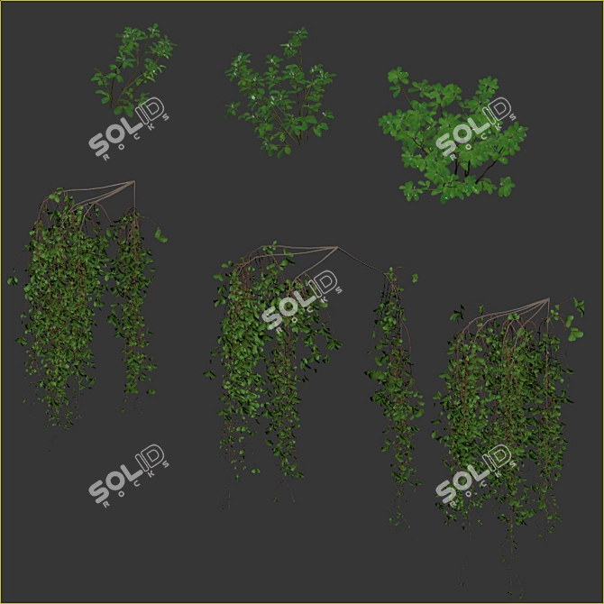 Editable Plant Box with Two Varieties 3D model image 6