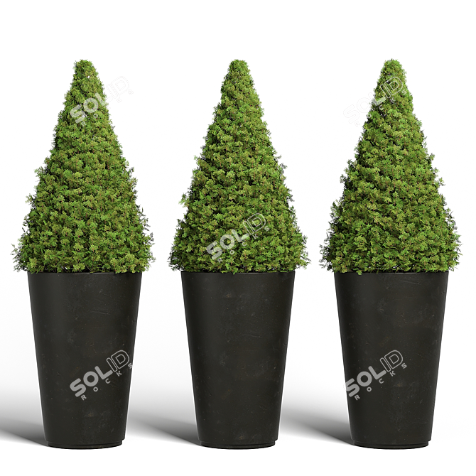 Modern Topiary Cypress Planters Set 3D model image 1