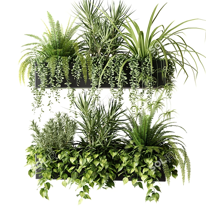 Indoor Plant Box Collection 3D model image 1