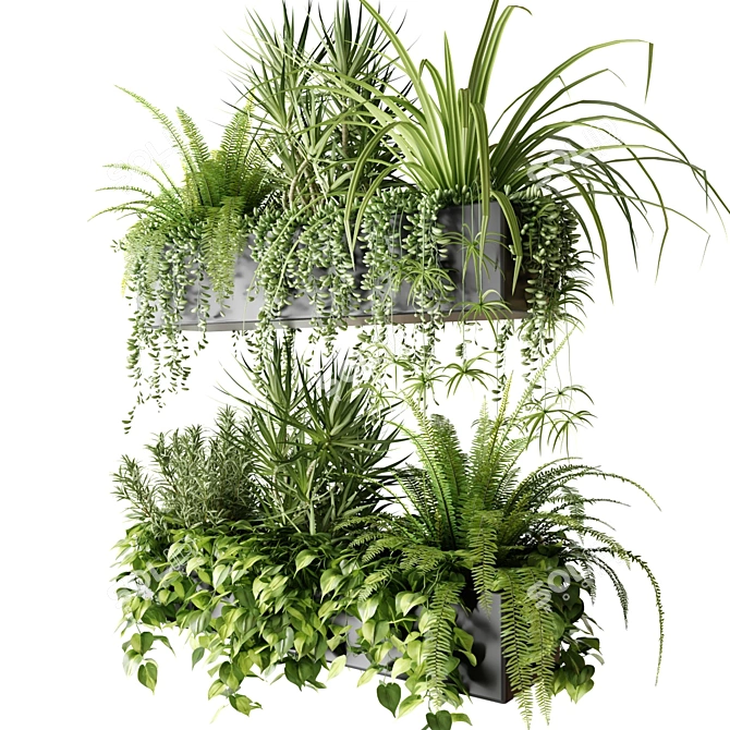 Indoor Plant Box Collection 3D model image 2
