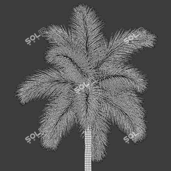 Wodyetia Bifurcata Palm Tree Brush 3D model image 4