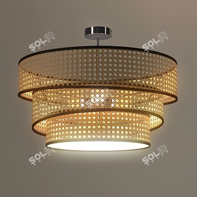 Elegant Chrome and Wood Ceiling Light 3D model image 3