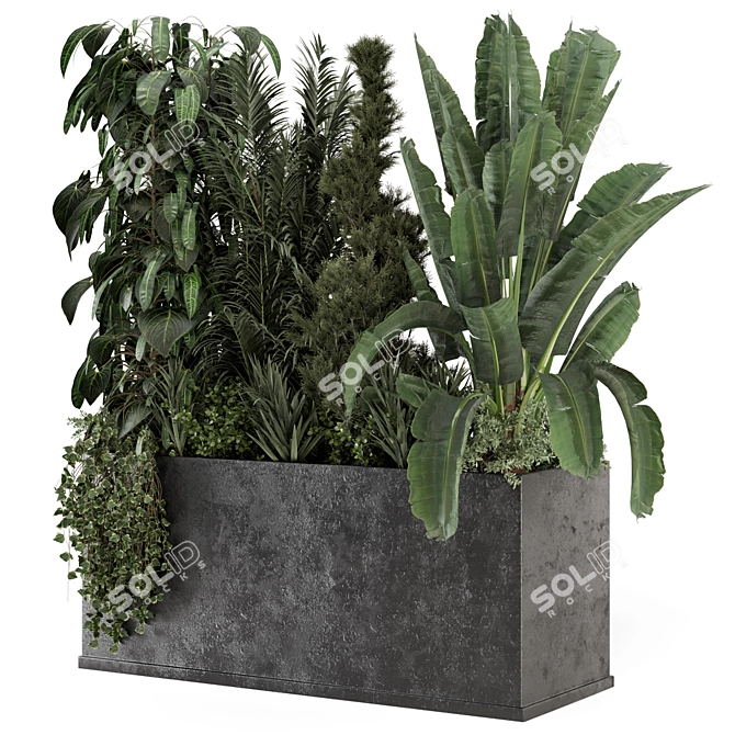 Modern Outdoor Plants in Concrete 3D model image 1