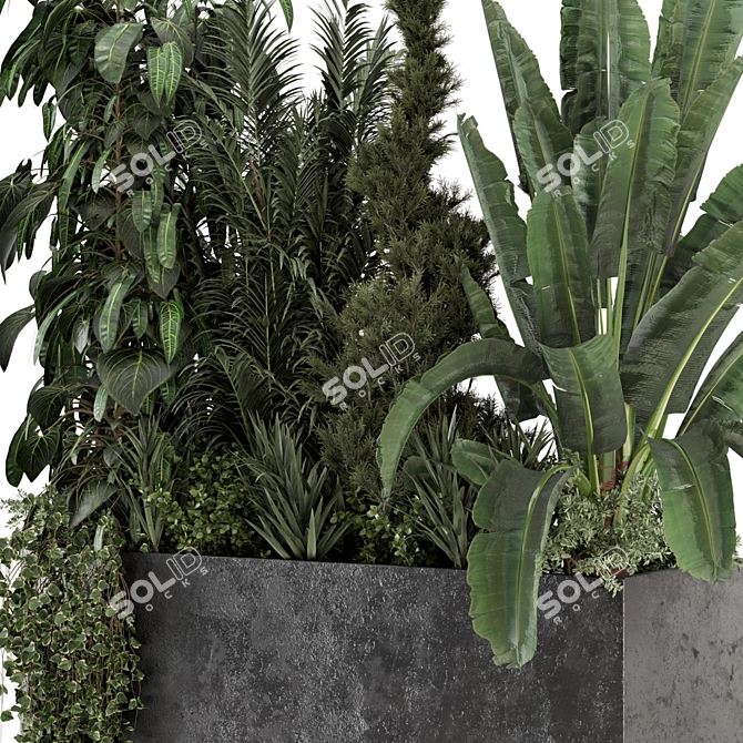 Modern Outdoor Plants in Concrete 3D model image 2