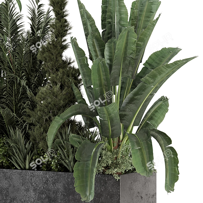 Modern Outdoor Plants in Concrete 3D model image 3