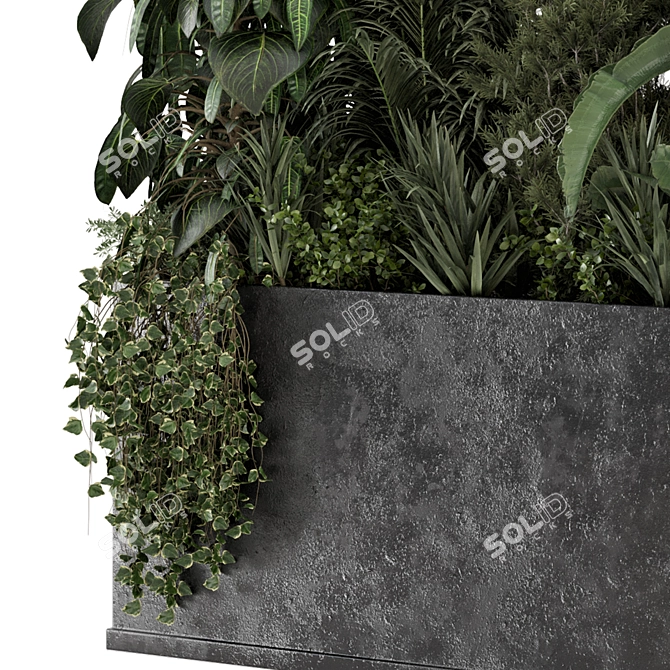 Modern Outdoor Plants in Concrete 3D model image 4