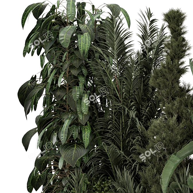 Modern Outdoor Plants in Concrete 3D model image 5