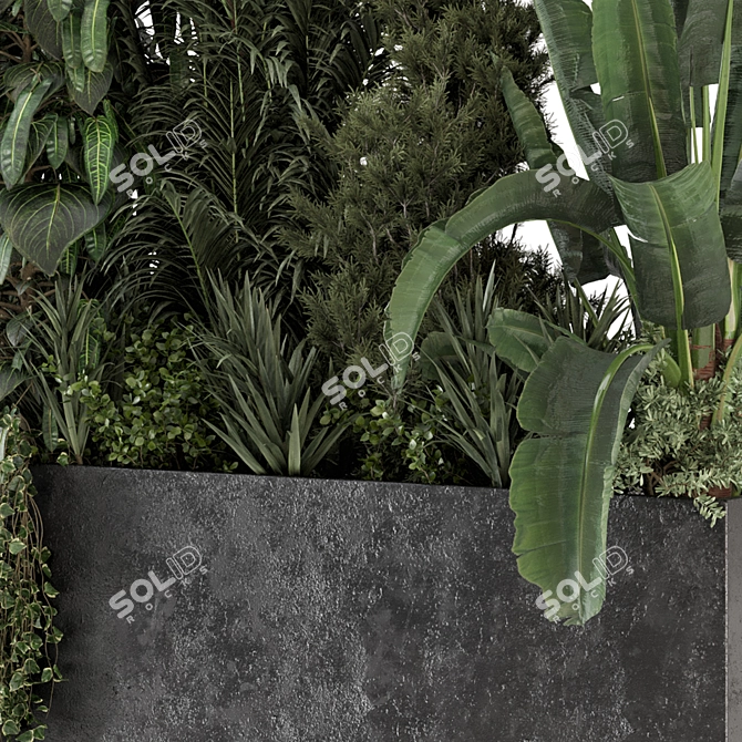 Modern Outdoor Plants in Concrete 3D model image 6