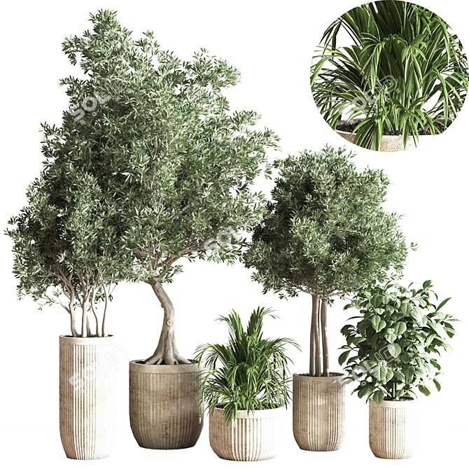 Modern Indoor Plant Set 3D model image 1