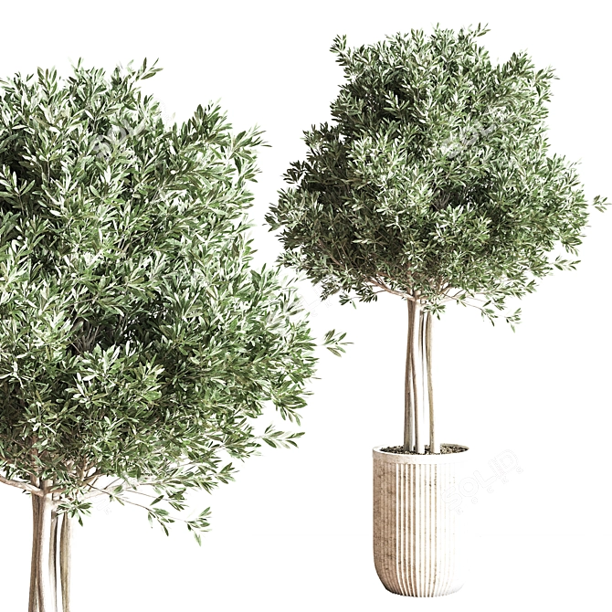 Modern Indoor Plant Set 3D model image 3