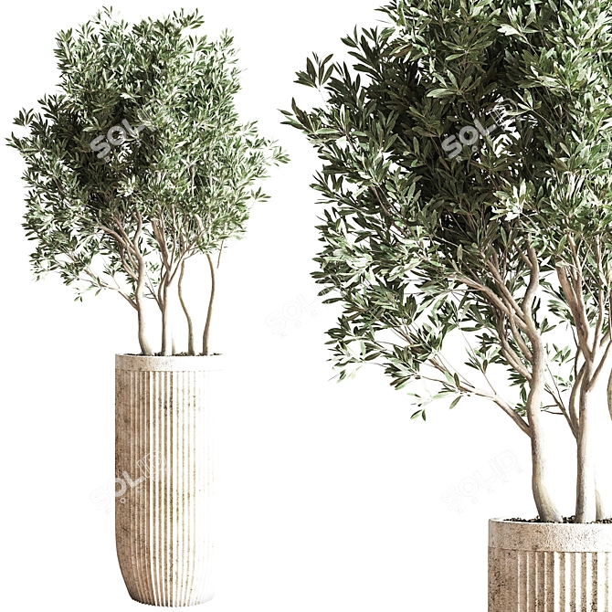Modern Indoor Plant Set 3D model image 4