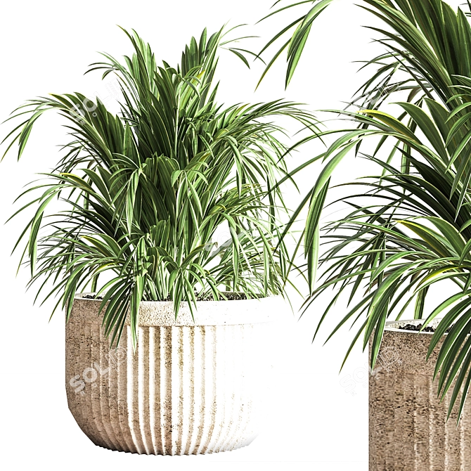 Modern Indoor Plant Set 3D model image 5