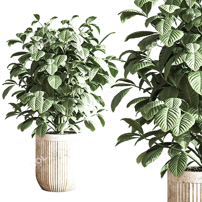 Modern Indoor Plant Set 3D model image 6