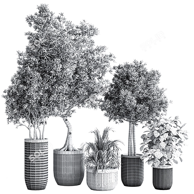 Modern Indoor Plant Set 3D model image 7