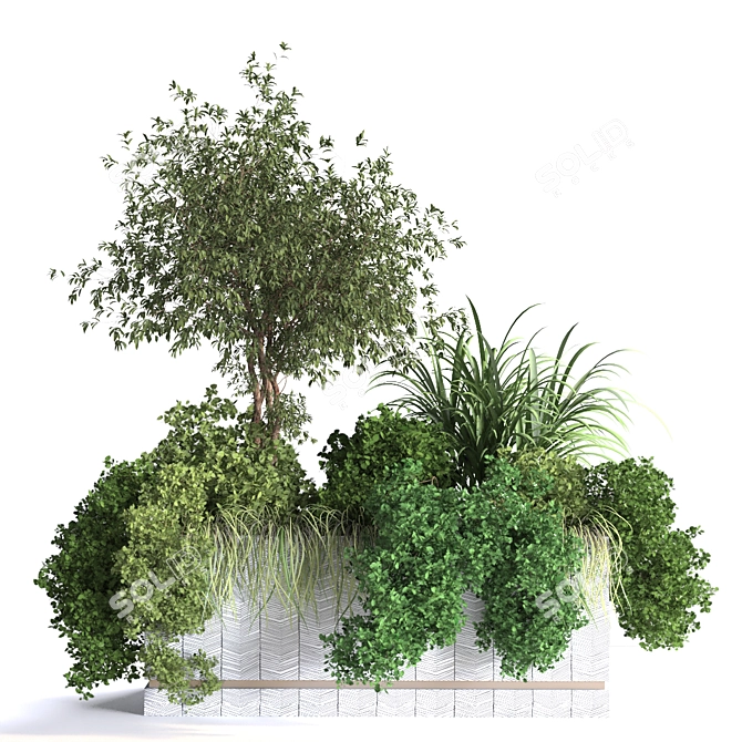 Lush Interior Plant Box Set 3D model image 3