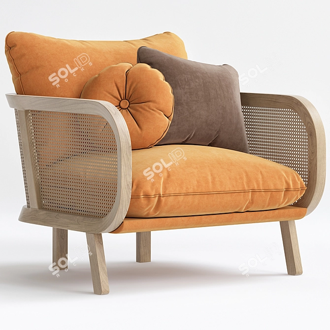 BuzziCane Armchair 3D Model V-Ray 3D model image 1