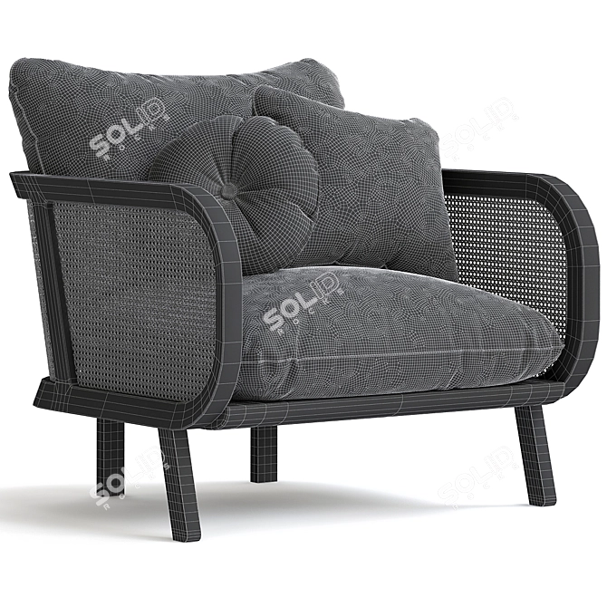 BuzziCane Armchair 3D Model V-Ray 3D model image 2