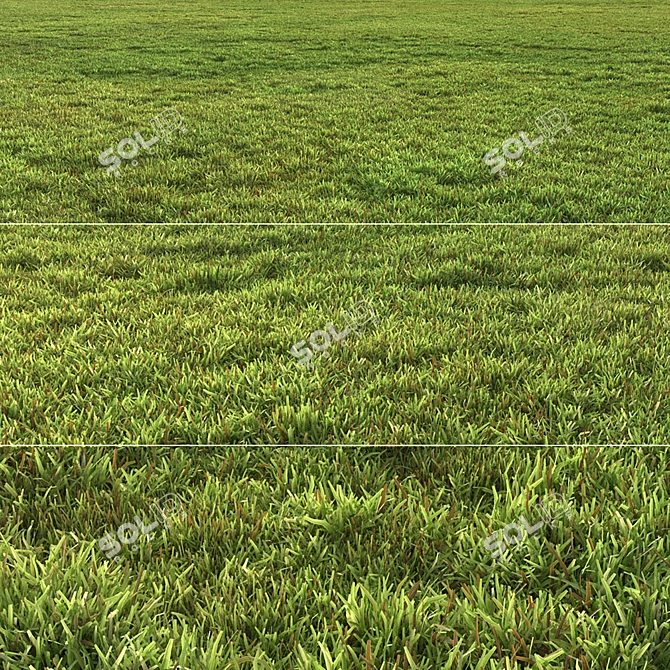 Flat Grass Pack: 14 Patterns 3D model image 3