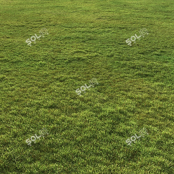 Flat Grass Pack: 14 Patterns 3D model image 4