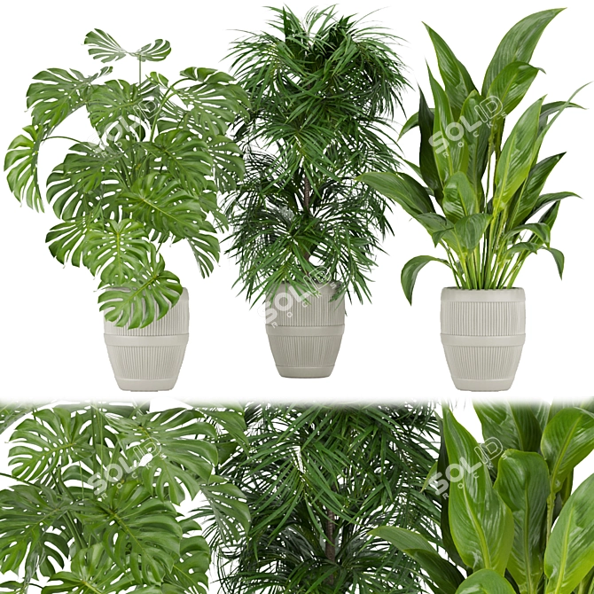 Premium 3D Plant Collection Vol. 348 3D model image 1
