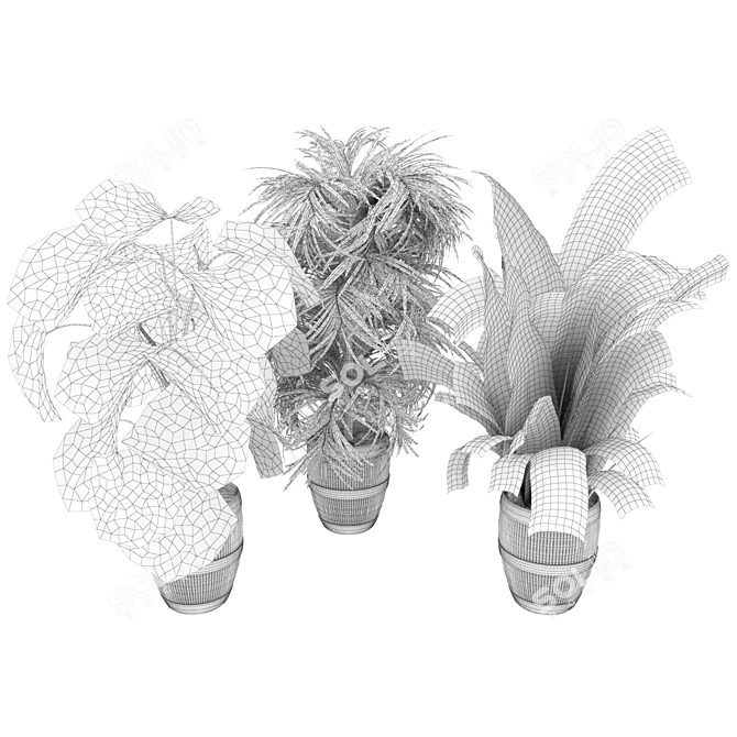 Premium 3D Plant Collection Vol. 348 3D model image 6