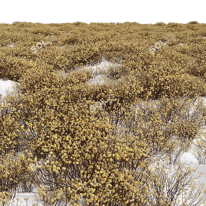 Premium Paperbush 3D Model Kit 3D model image 4