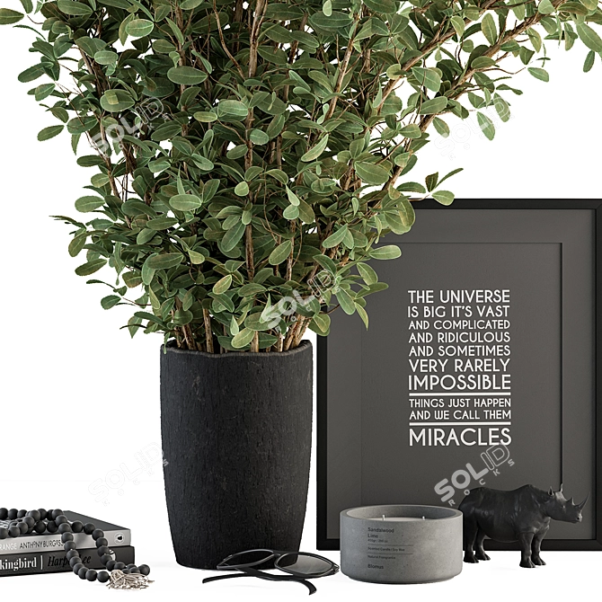 Exquisite Vase Plant Set 119 3D model image 2