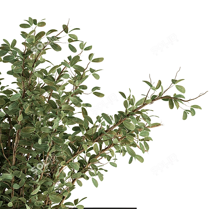 Exquisite Vase Plant Set 119 3D model image 3