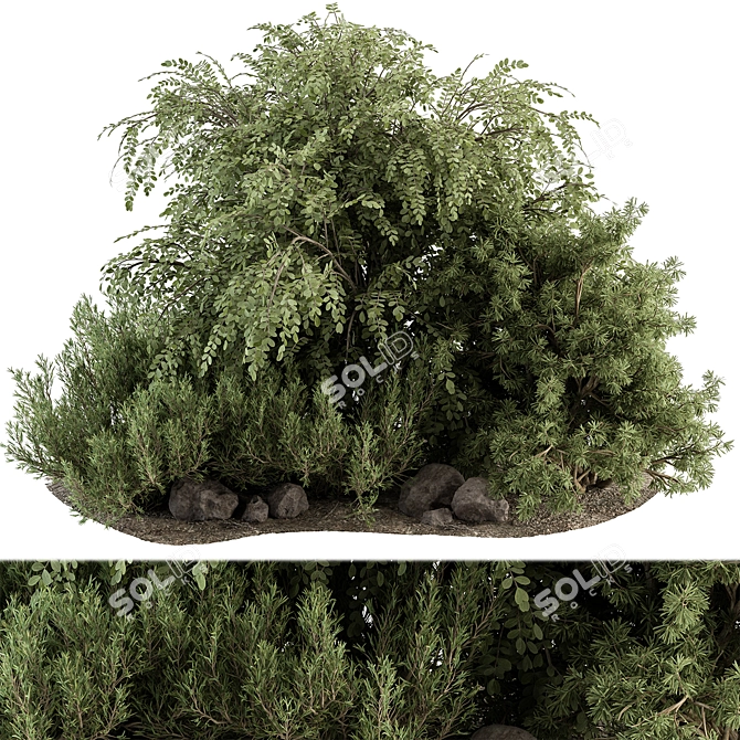 Outdoor Bush Garden Plant Set 3D model image 1