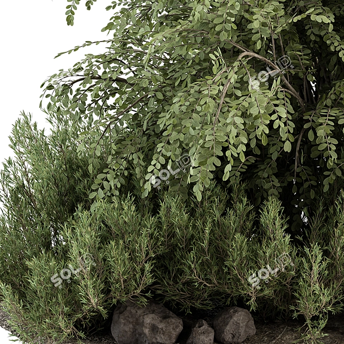 Outdoor Bush Garden Plant Set 3D model image 2