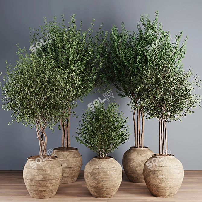 Artisan Plant Collection Vases 3D model image 2