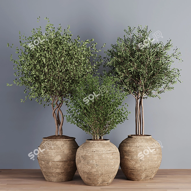 Artisan Plant Collection Vases 3D model image 3