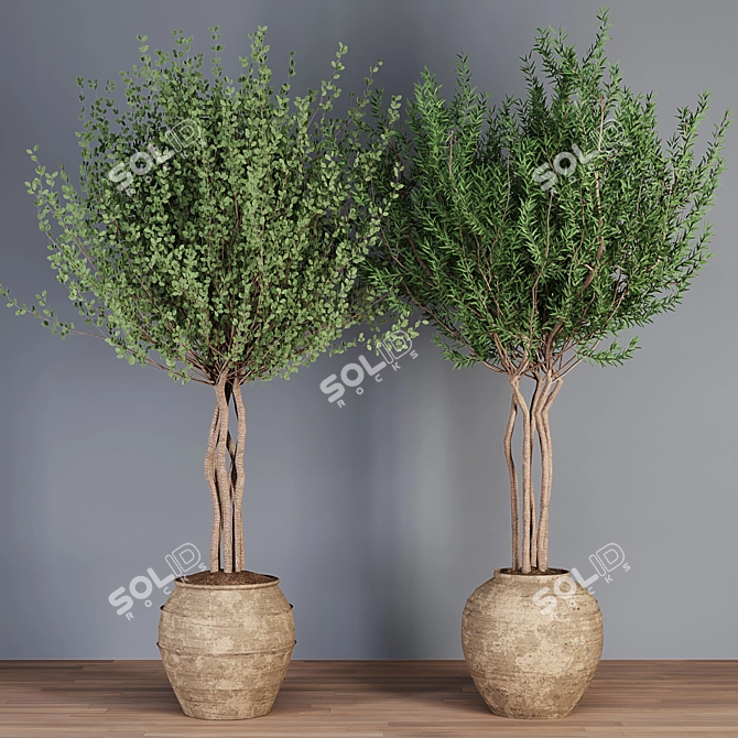 Artisan Plant Collection Vases 3D model image 4