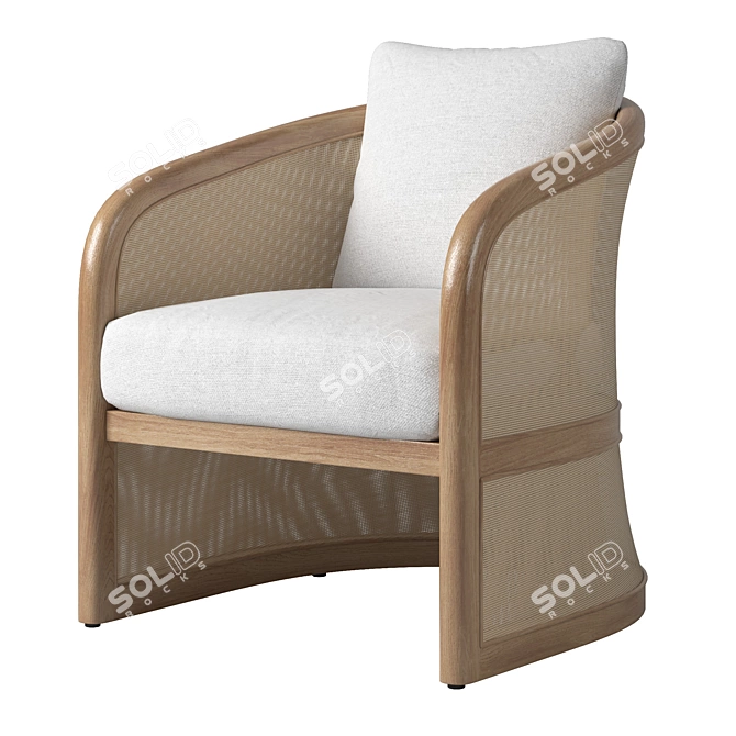 Modern RH Lucia Lounge Chair 3D model image 2