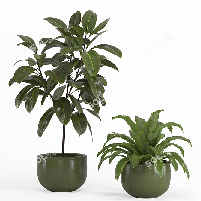 Shelf Plant Set | Modern Decor 3D model image 2